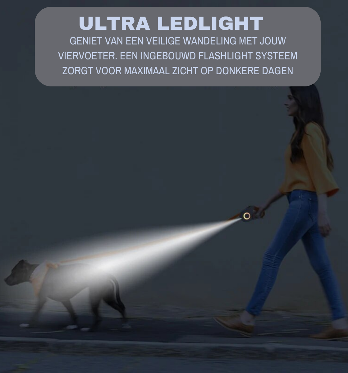 LED-LICHT-HUNDELEINE™ | SPAZIERGANG MIT EXTRA SICHTBARKEIT MIT IHREM TREUEN FREUND