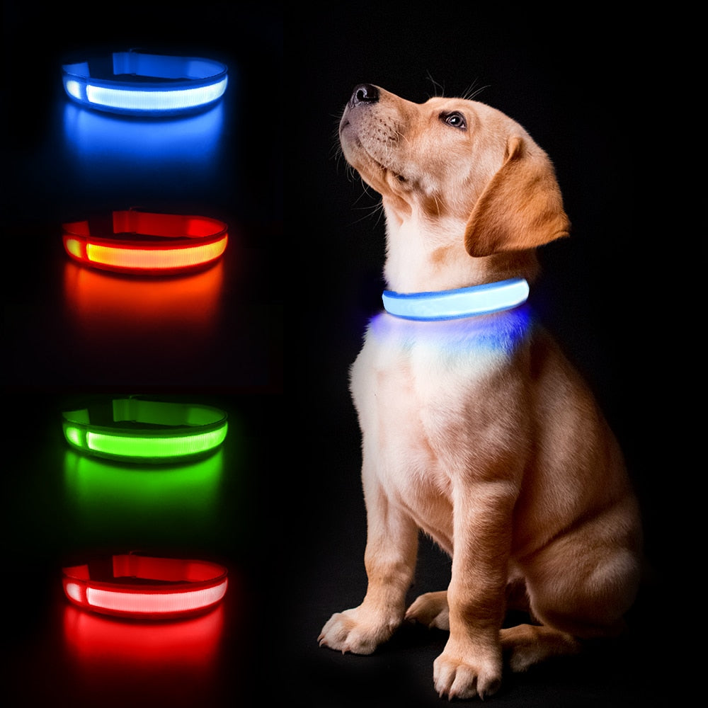 Leuchtendes LED-Licht Hundehalsband