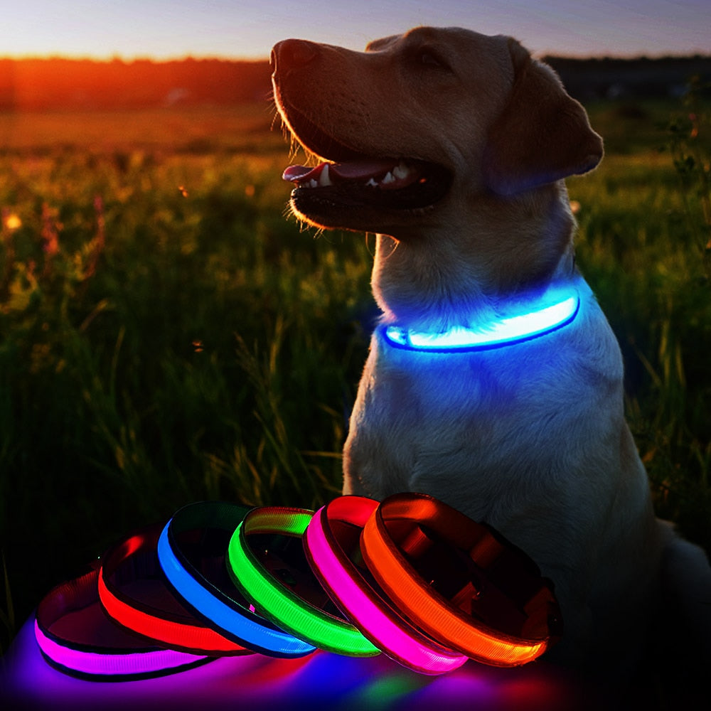 Wiederaufladbares LED Hundehalsband - Wasserdichtes Sicherheitslicht Für Nachtspaziergänge